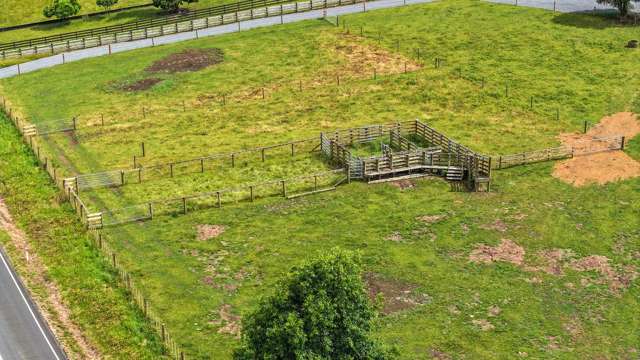 880 Kopuku Road Maramarua Forest_1