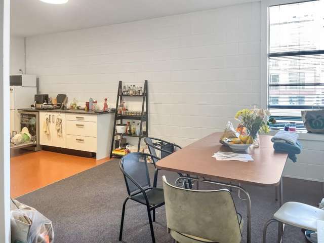 115 Vivian Street 2185_4