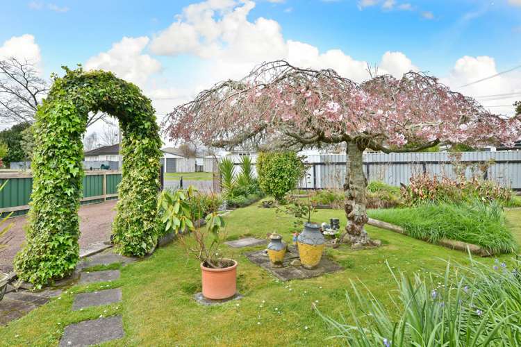 11 Nelson Street Hamilton East_15