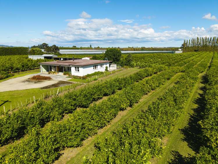 75 Brown Road Ormond_5