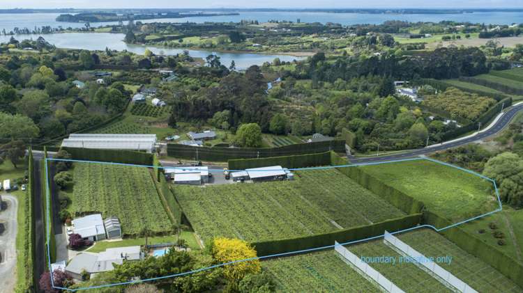 139 Borell Road Te Puna_1