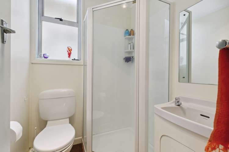 66 Elizabeth Street Mount Victoria_20