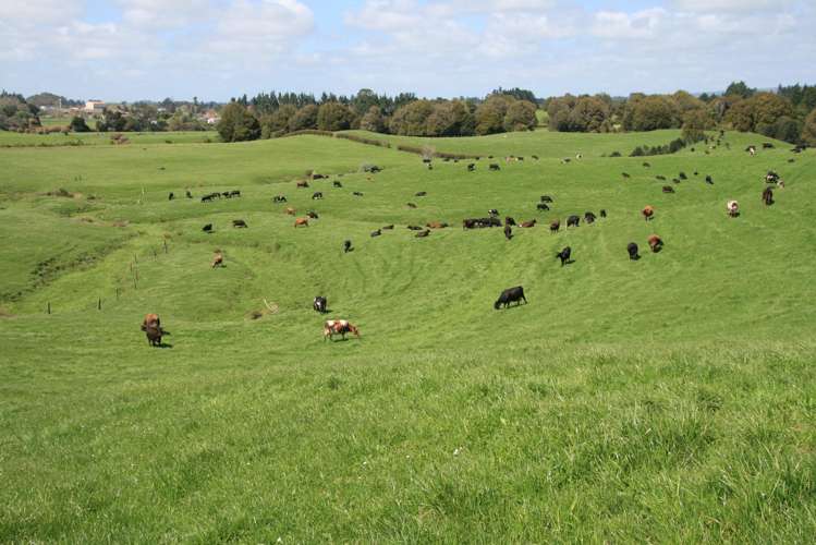 828 Hursthouse Road Inglewood_23