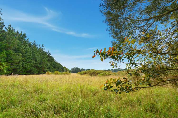 137 Breadings Road Rakaia_15