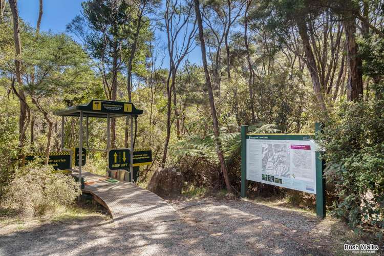 10 Oceanview Road Great Barrier Island_16