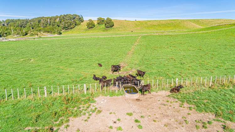173 Leedstown Road Hunterville_7