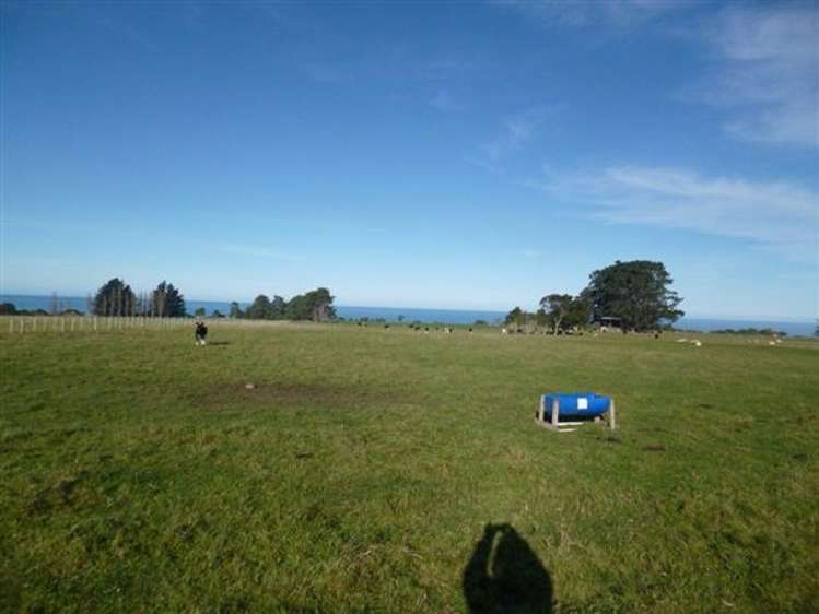 20d Kanuka Lane Hapuku_13