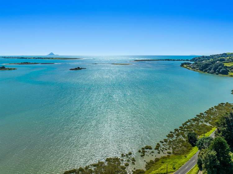 65b Reeves Road Opotiki and Surrounds_13