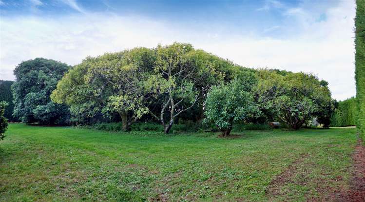 68 Oak Drive Te Puke_13