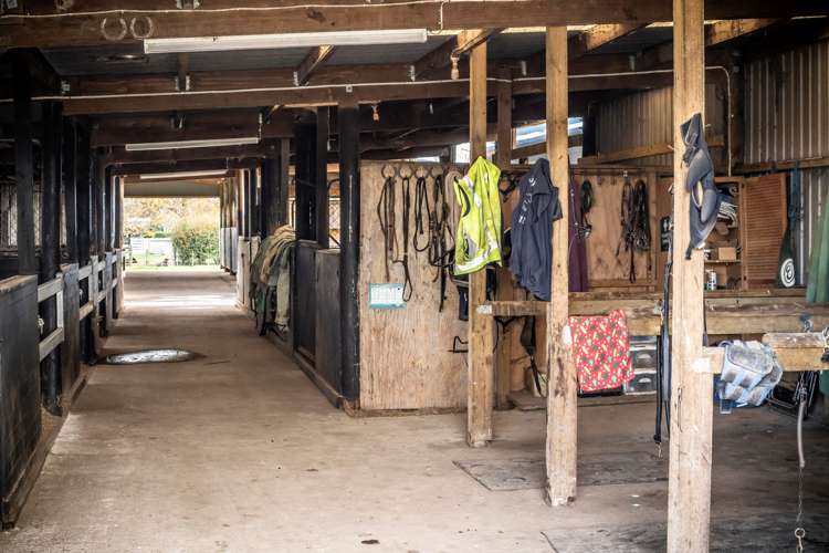 2/101 Racecourse Road Cambridge_12