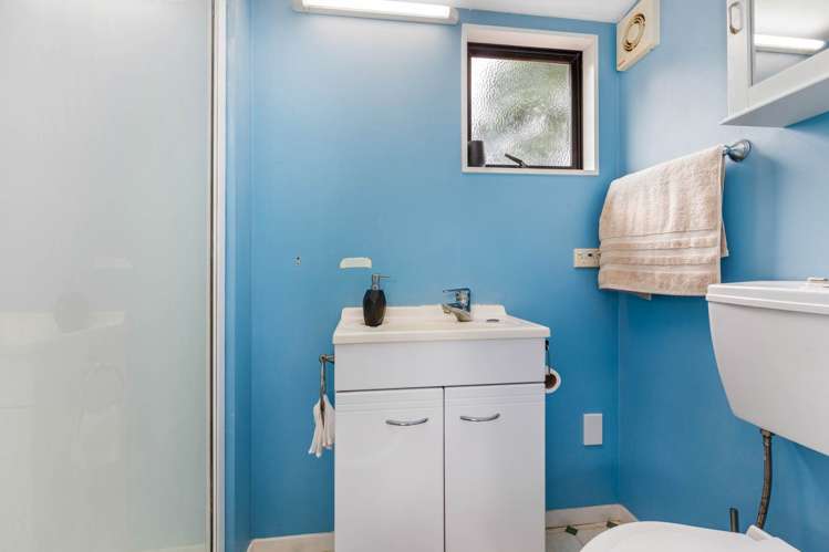 36 Boyd Avenue Royal Oak_21