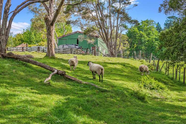 23-25 Mountain Road Henderson Valley_27