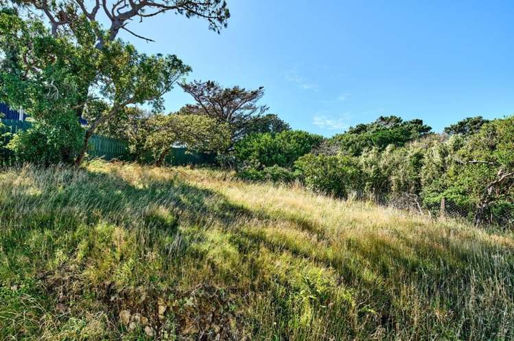 17 Ellora Street Ngaio_14