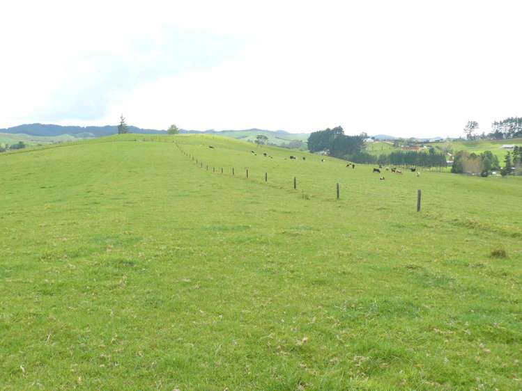 807 Puketona Road Haruru_17