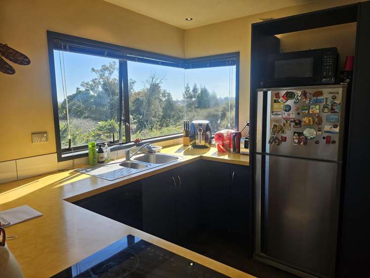 19B Upland Road_5