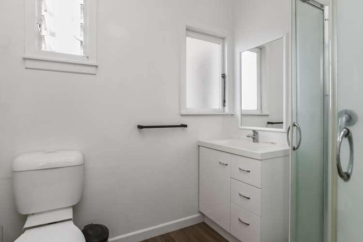 17 Seabrook Avenue New Lynn_7