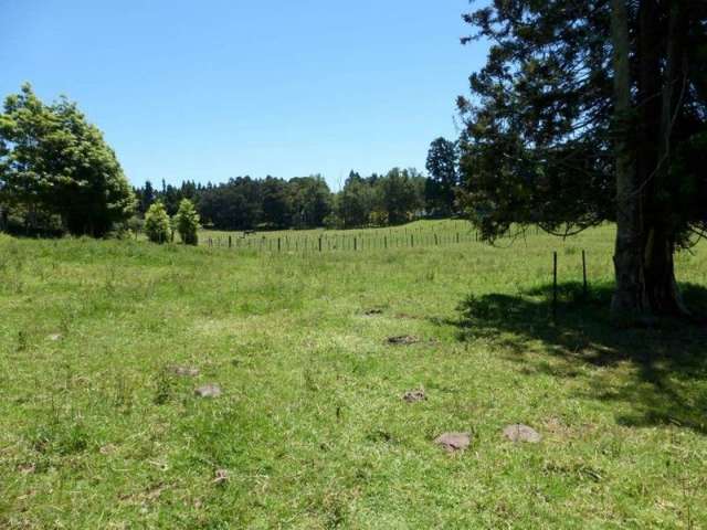 50 Cemetery Road Maunu_4
