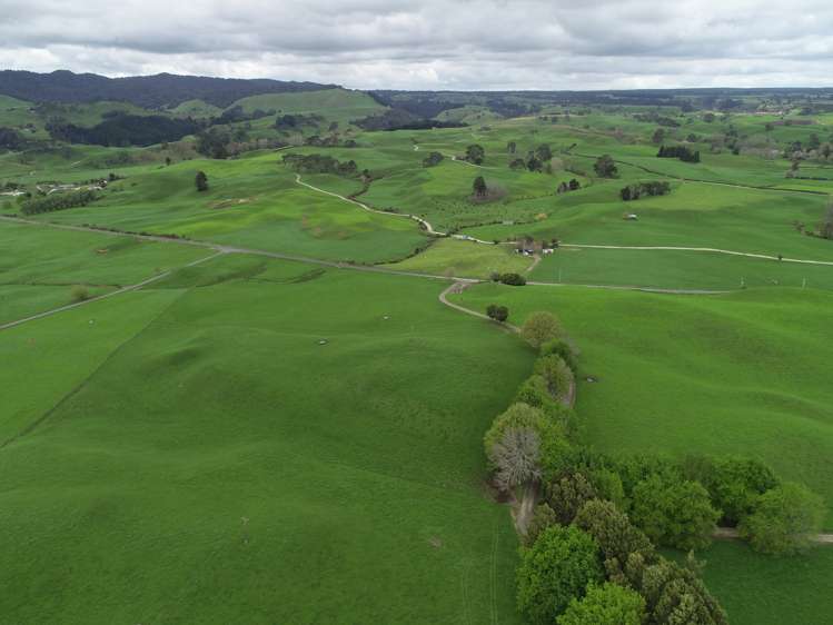 802 Kakahu Road Tapapa_5