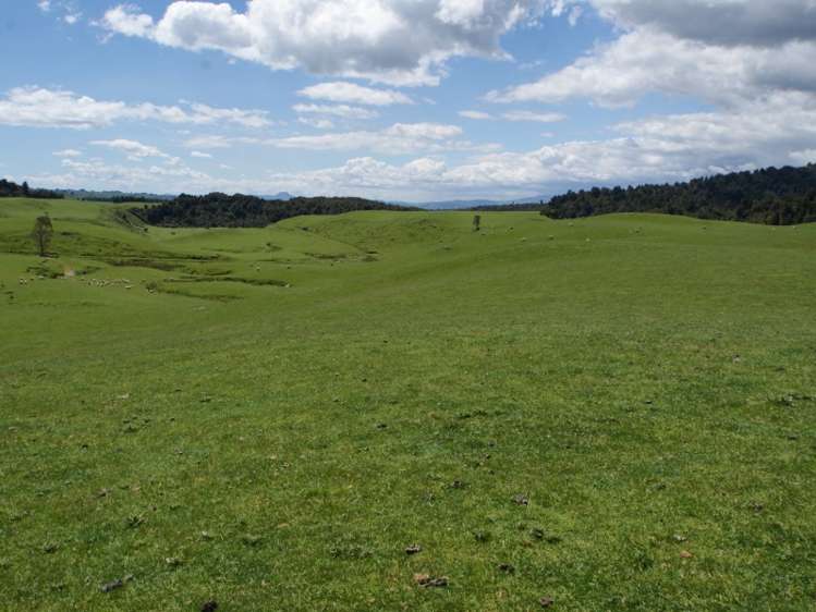 60 Bullians Road Owhango_2