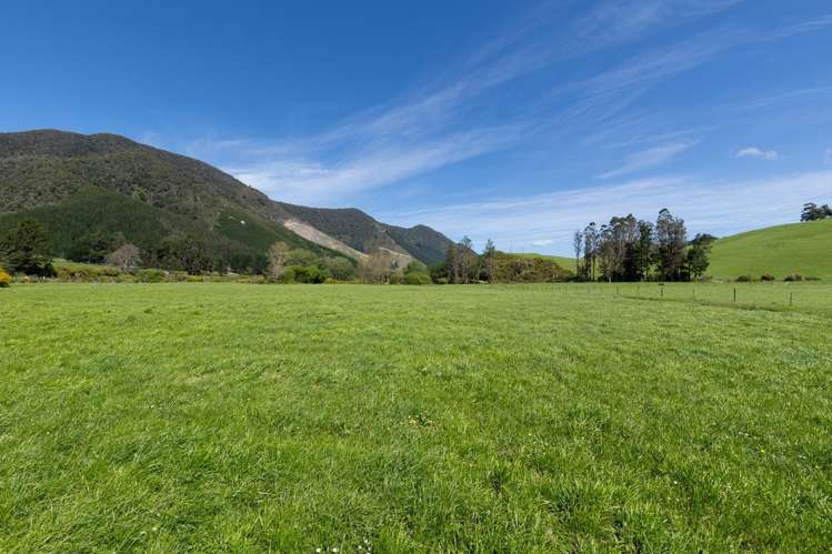 537 Ronga Road Rai Valley_43