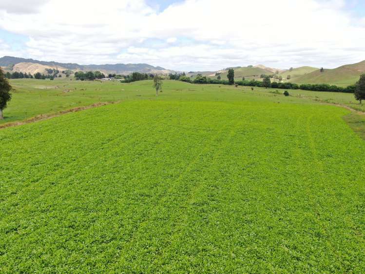 921 Ohura Road Aria_8