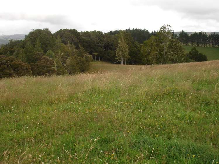 158 Hay Road Hukerenui and Surrounds_11