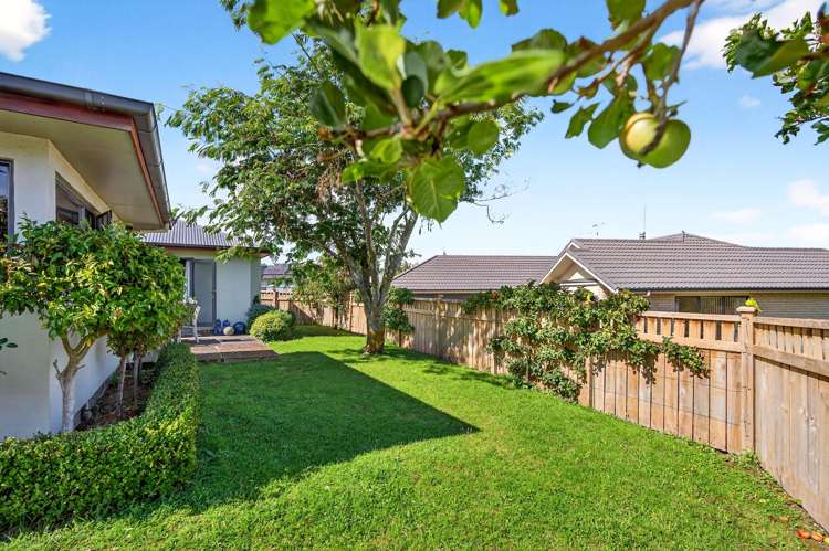 3 Cody Crescent Masterton_26