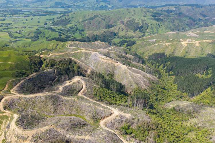 170 Mangaone North Road Te Horo_5