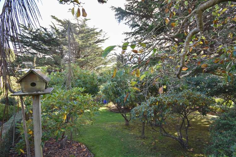 2 Trafalgar Street Normanby_22