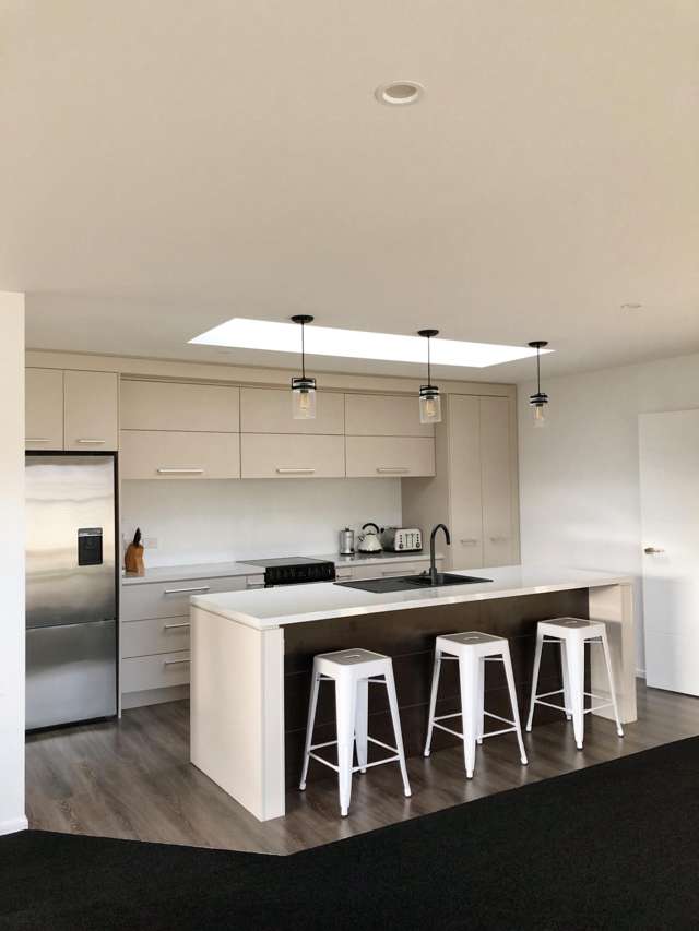 51 Holloway Street Waikiwi_3