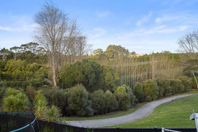 62 Rapana Drive Tuakau_3