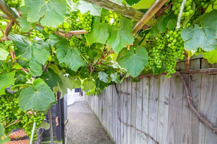 16 Stern Crescent Rolleston_14