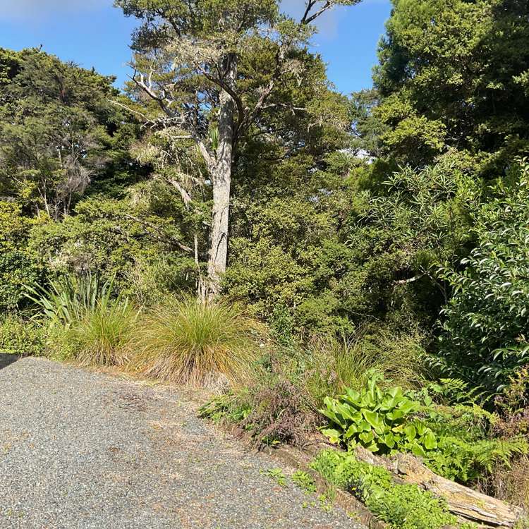 81 Thompson Road Warkworth_9