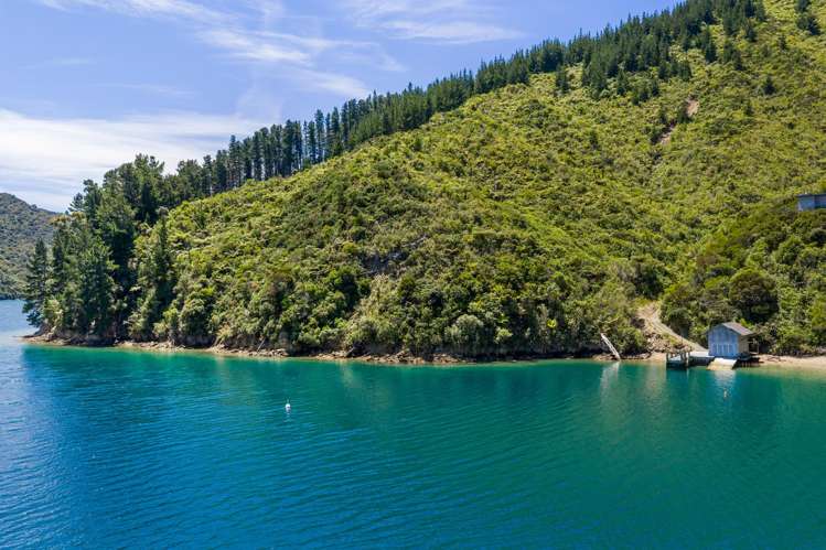 Lot 15 Bay of Many Coves Bay Of Many Coves_10