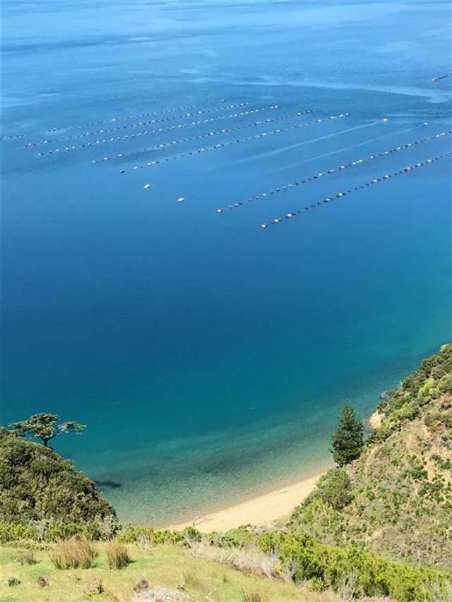 Picnic Bay Marlborough Sounds_1