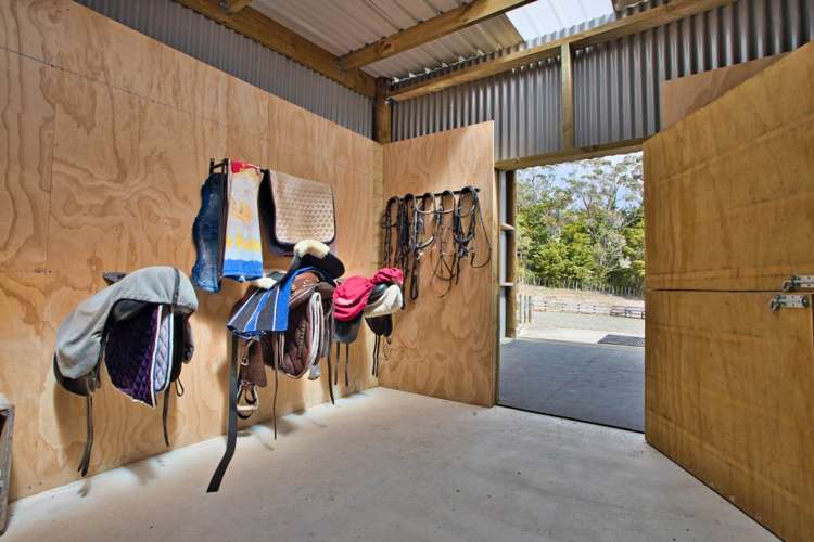 100 Devich Road Mangawhai_18