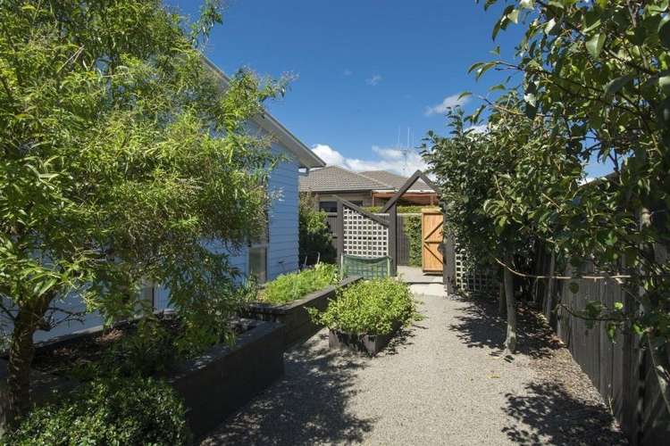 142 Palm Beach Boulevard Papamoa_17