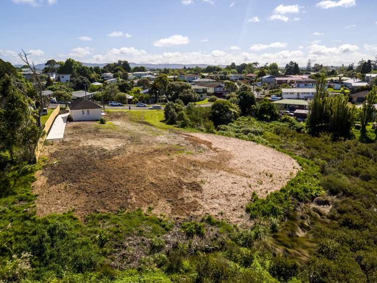 61a Holly Street Avondale_8