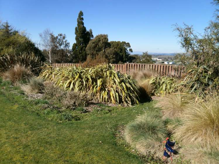 31 Moir Street Balclutha_15