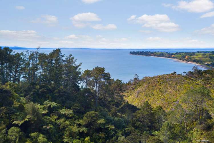 130a Wattle Bay Road Manukau Heads_6