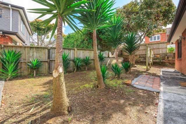 117b Owairaka Avenue Mount Albert_1