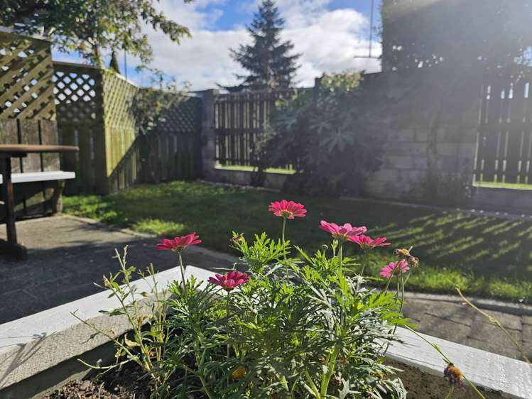 36 Stephenson Street Blenheim Central_1