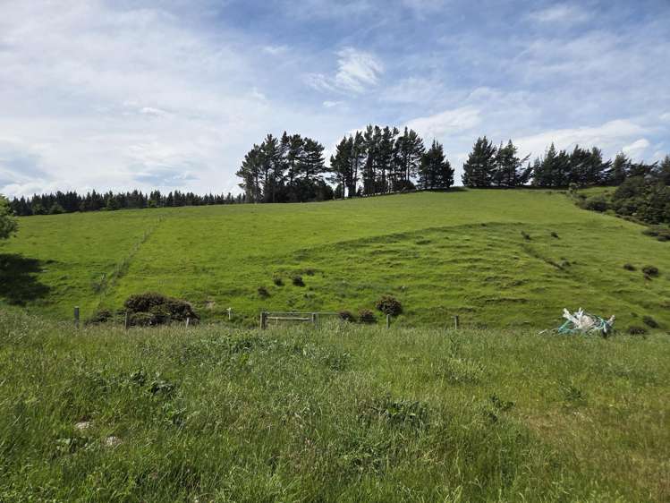 183 Gunn Road Waitepeka_11