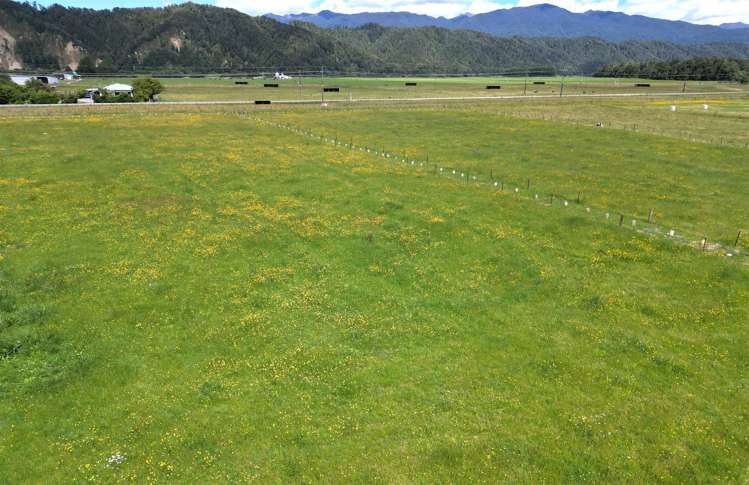 Gannon's Road Reefton_8