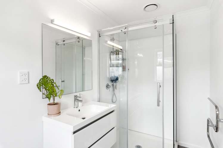 56 Salisbury Street Levin_13