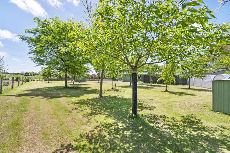 25 Godley Street Halcombe_27