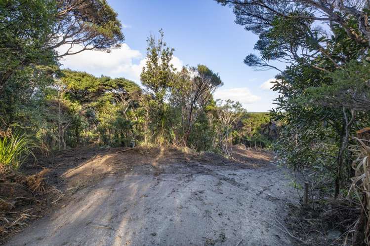 14 La Trobe Track Karekare_5