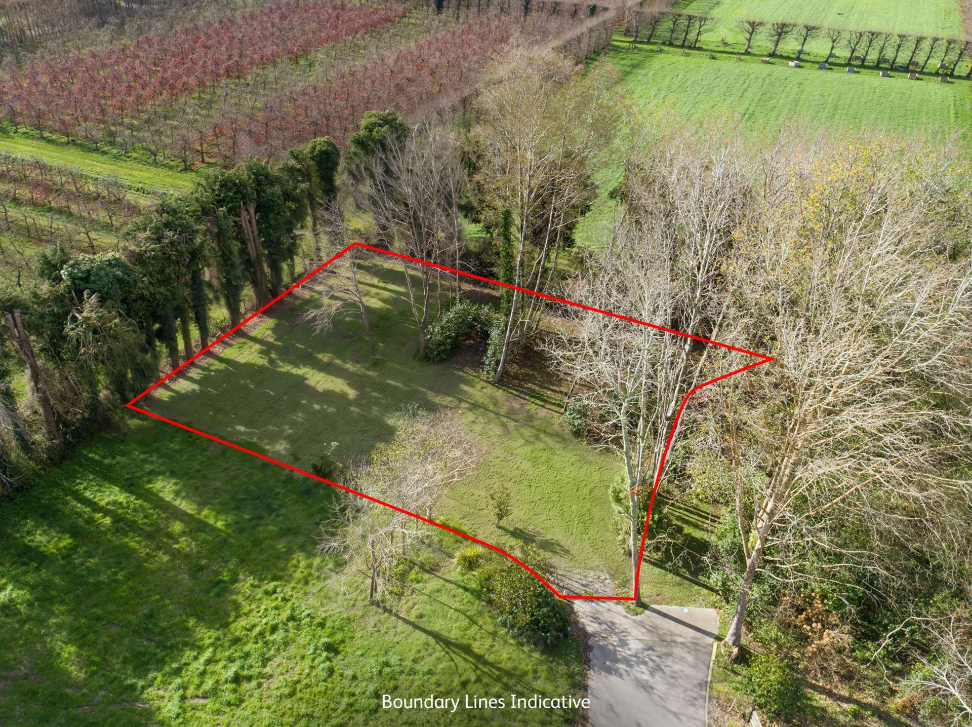 15 Woodlands Way Greytown_0