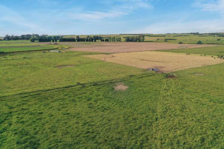 Timaru-Pleasant Point Highway Timaru Surrounds_11