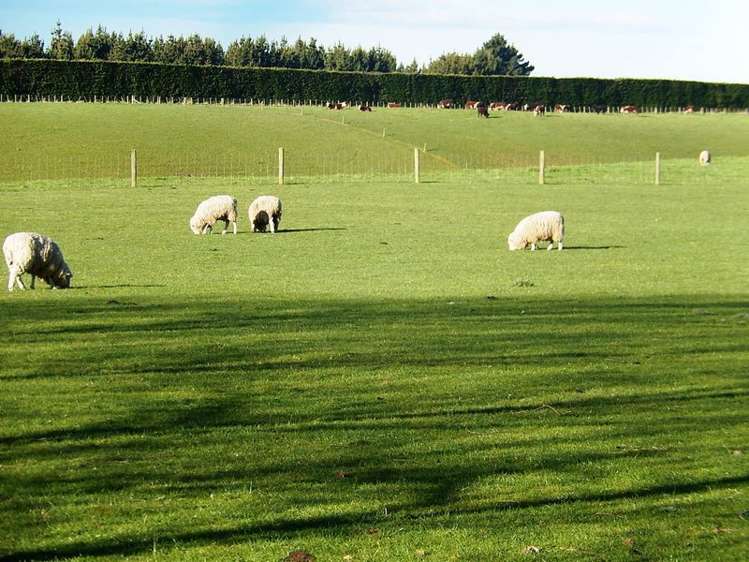 37 Clareview Road Herbert_18